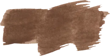 a brown ink stain on a white background