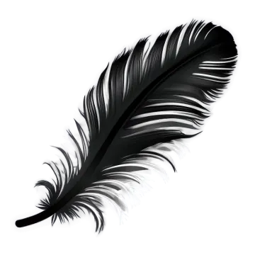 a black feather on a white background