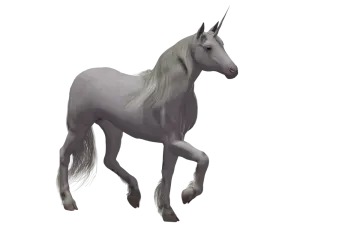 a white unicorn with long hair and a black mane