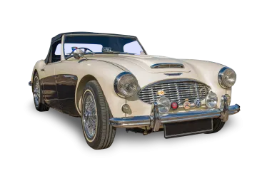 the car is white