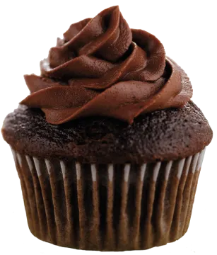 a cupcake with chocolate frosting on top