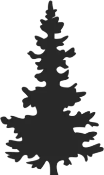 a black and white silhouette of a tree