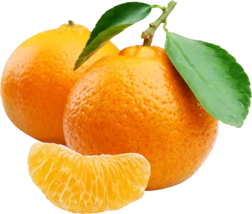two oranges with leaves on a white background