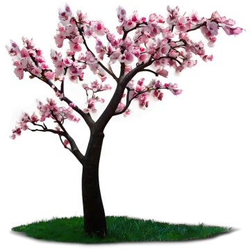 a tree with pink flowers on it