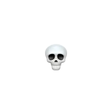 an image of a skull on a white background