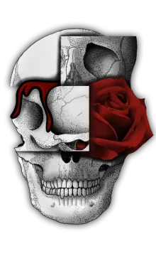 a skull with a red rose on it