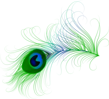 a peacock feather with blue and green feathers