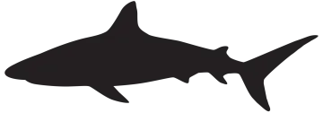a black and white silhouette of a shark