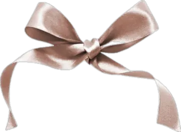 a brown ribbon with a bow