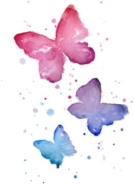 three watercolor butterflies on white background