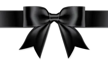 a black bow on a white background