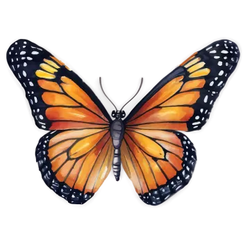 a watercolor painting of a monarch butterfly