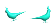 two blue birds on a white background