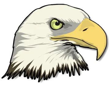 an eagle head with green eyes