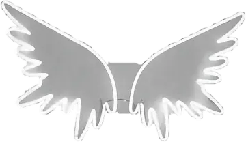 a metal angel wings on a white background