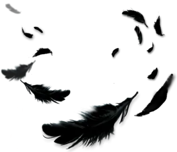 a bunch of black feathers flying in the air