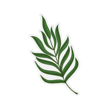 a green leaf on white background