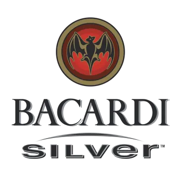 baadi silver logo