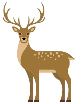 a deer with ants on it's head
