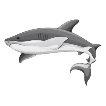 a dolphin swimming in the ocean