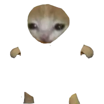 an image of the face of a mouse