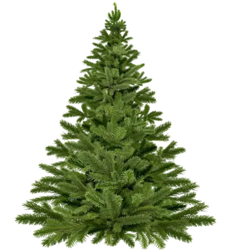 a christmas tree on a white background