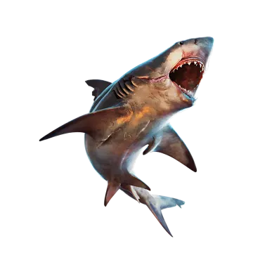 a great white shark with its mouth open