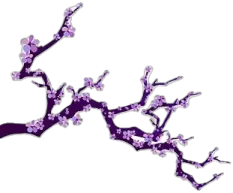 a branch with purple flowers on it