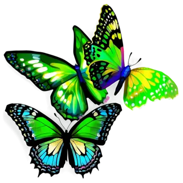 three colorful butterflies on a white background