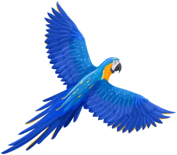 a blue parrot flying with its wings spread