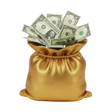 money in a gold bag