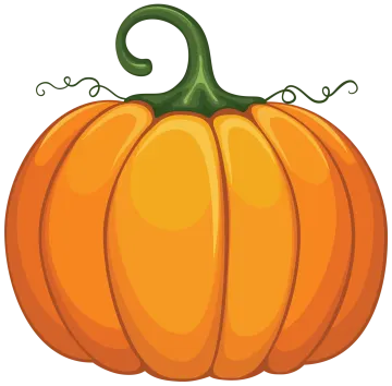 a pumpkin on a white background