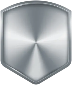 a shiny metal shield icon