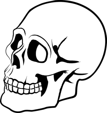 a black and white drawing of a skull