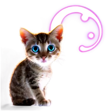 a kitten with blue eyes sitting on a white surface
