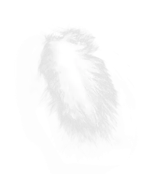 a drawing of a feather on a white background