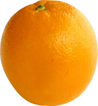 a close up view of an orange fruit