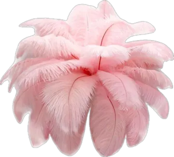 a pink feather flower