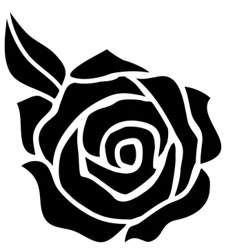 a black rose flower on a white background