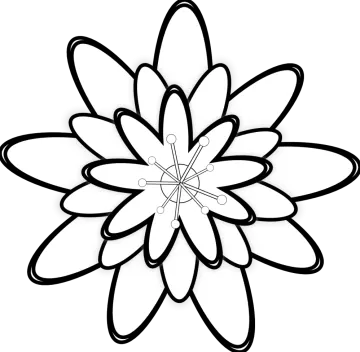 a black and white flower