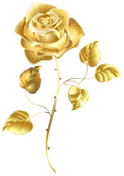 a gold rose on a white background