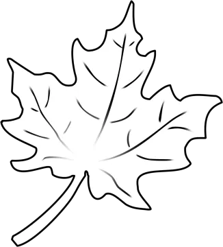 a black and white maple leaf