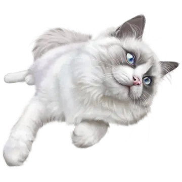 a white cat with blue eyes is running
