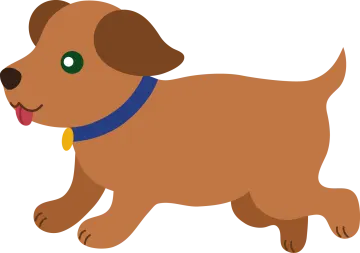 a brown dog with green eyes and a blue collar