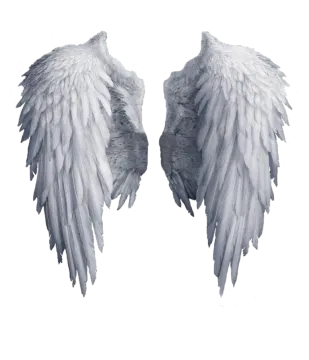 two white wings on a white background