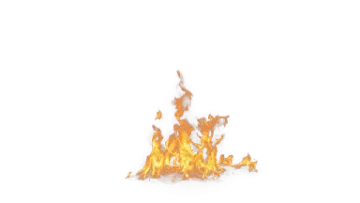 fire on a white background
