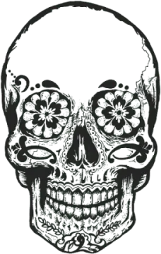 a black and white drawing of a skull