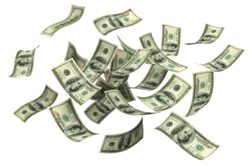 a pile of money falling into the air