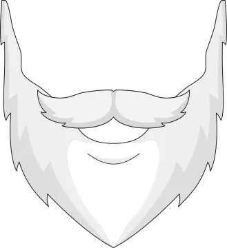 a man's face with a beard