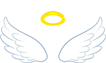 a pair of angel wings